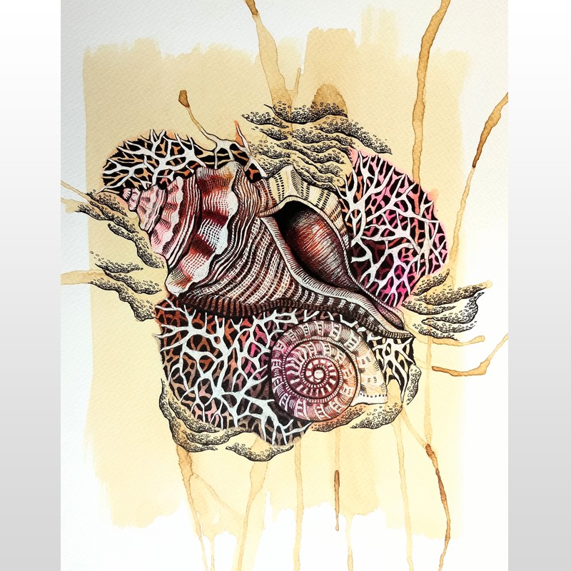 Shells Series Art Print 3