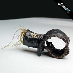 Sparks of Life - Sculptural Ring
