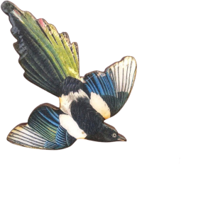 Magpie Bird Brooch In Wood