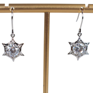 Hexaster Earrings